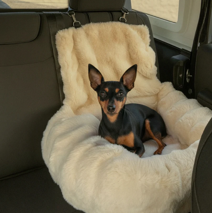 SafeNest – AutoBed