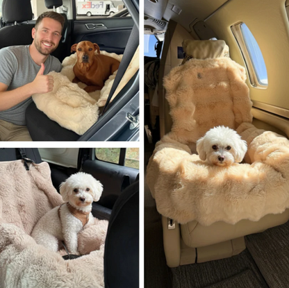 SafeNest - AutoBädd