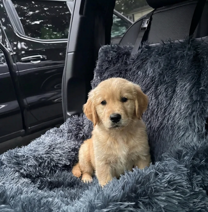 SafeNest - AutoBädd